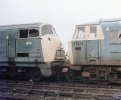 BJ-EggingtonJn-D832-D7076.jpg