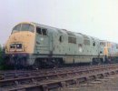 BJ-EggingtonJn-D832.jpg