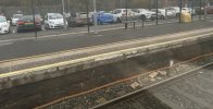 IMG_9259.jpeg