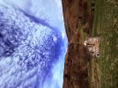 IMG_3718.jpeg