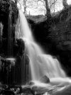 IMG_3696.jpeg