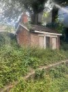 IMG_5326.jpeg