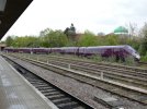 IMG_3165.jpeg