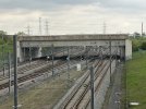 IMG_3412.jpeg