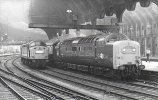 40-55-York.jpg
