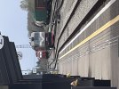 IMG_3934.jpeg