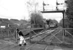 Workers_Marchwood.jpg