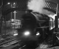 Railfan_Bedhampton.jpg