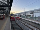 IMG_2476.jpeg