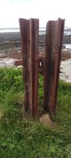 Tram rails at Marwick Bay 2.jpg