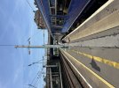IMG_4683.jpeg