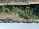 IMG_0682.jpeg