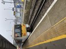 IMG_2159.jpeg