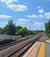 20250616_114113.jpg