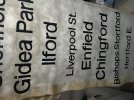 IMG_2165.jpeg