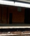 IMG_3739.jpeg