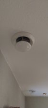 Ceiling ducts.jpg