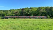TFW  197 PASSING PLYMOUTH WOODS ST FAGANS MAY (1).jpeg