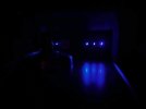 IMG_6461.jpeg
