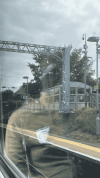 IMG_6776 (1).png