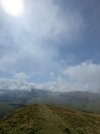 PXL_20250718_111920978.jpg