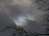 100_2803.jpg