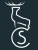 serco sleeper logo.jpg