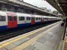 IMG_0113.jpeg