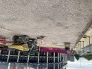 IMG_1014.jpeg