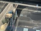 IMG_1736.jpeg