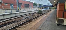 20250728_065830.jpg