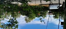20250728_182741.jpg