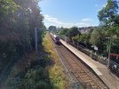 756006_Birchgrove_2025_0804_02.jpg
