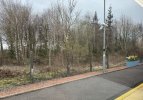 IMG_1996.jpeg