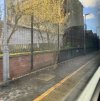 IMG_9370.jpeg