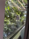 IMG_2278.jpeg