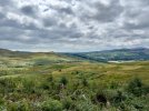 IMG_1962.jpeg