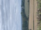 IMG_5144.jpeg
