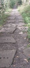 Penydarren Trackbed.jpg