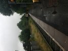 IMG_8658.jpeg