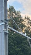 IMG_7036.jpeg