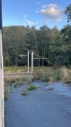 IMG_7029.jpeg
