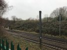 IMG_0991.jpeg