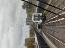 IMG_9814.jpeg