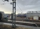 IMG_7919.jpeg