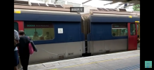 IMG_7812.png
