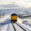 1758050488489.jpg