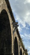 IMG_0530.jpeg