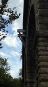 IMG_0529.jpeg