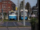 IMG_5431.jpeg